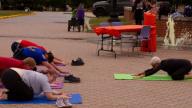 A group of people stretching on mats outside