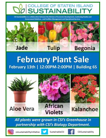 February Plant Sale February Plant sale flyer was used for the event showing pictures of Jade, Tulip, Begonia, Aloe Vera, African Violets and Kalanchoe grown in our on-campus greenhouse by our students. All plants sold in the CSI’s Greenhouse in partnership with CSI‘s Biology Department.