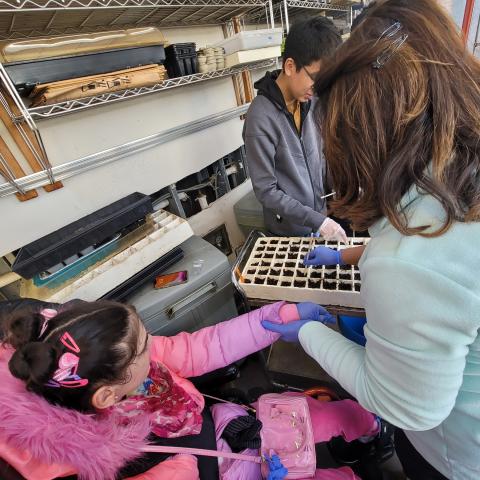 Green House Learning Lab Greenhouse seed planting event. One of the students in the wheelchair participating in the seed planting. She is being helped by her mother and another student.