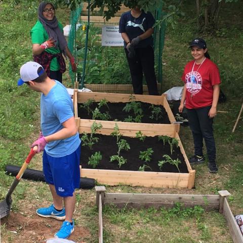 6S Pit CleanUp Students are transplanting seedlings into raised beds