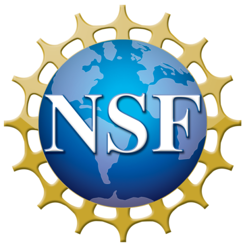 NSF Logo NSF Logo
