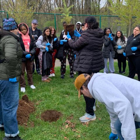 Arbor Day tree planting Students are learning the tree planting process