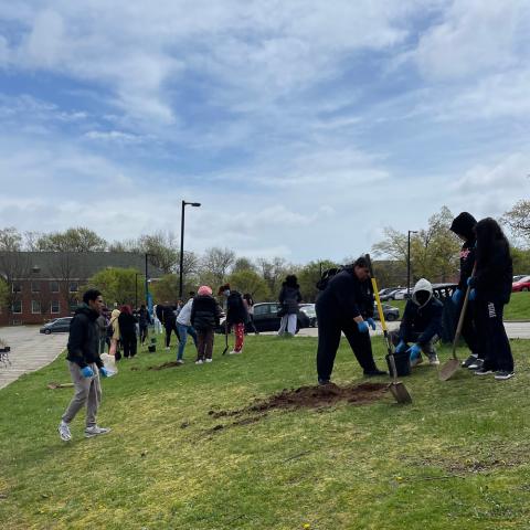 Arbor Day tree planting Students are planting trees on the parking median